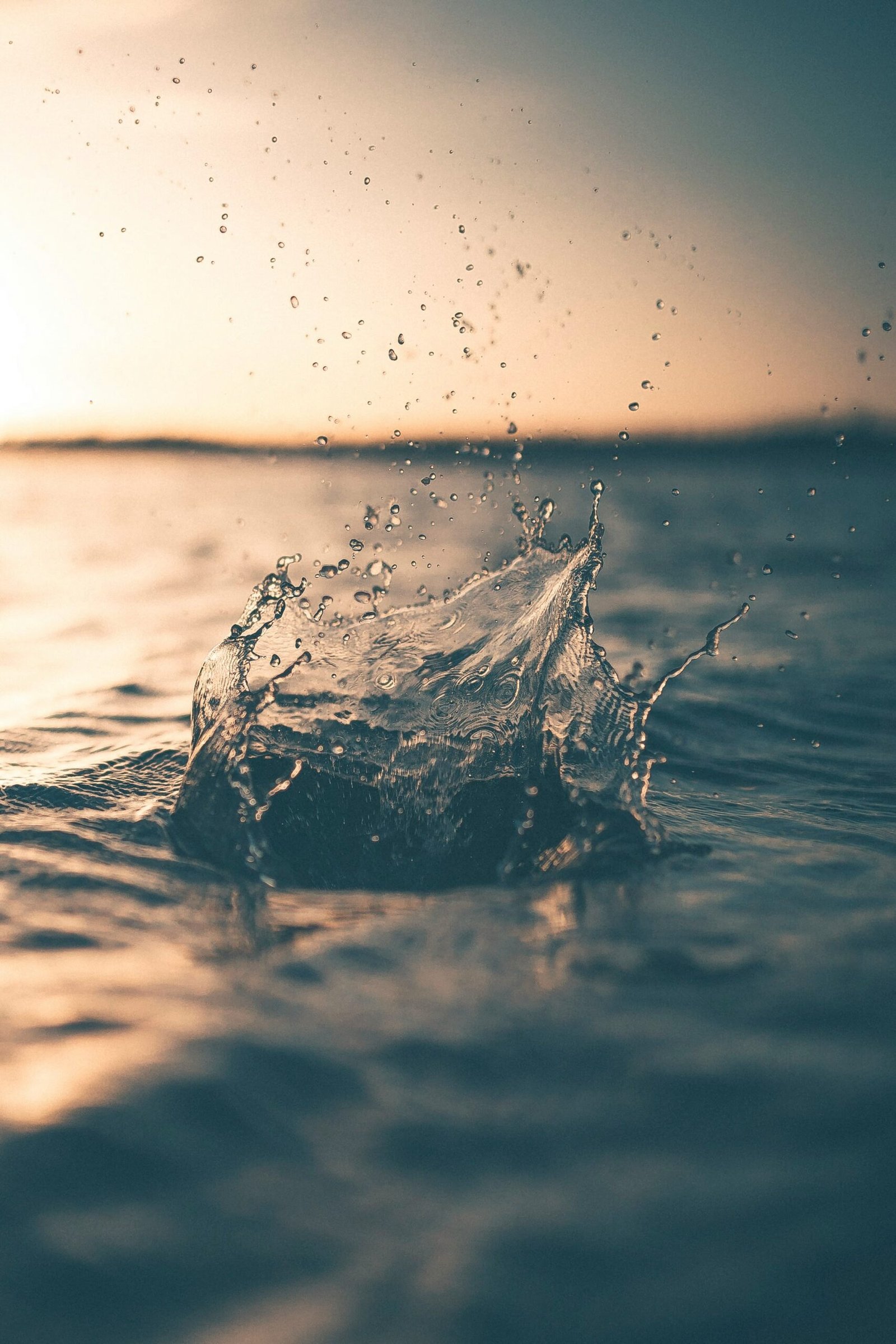 selective focus photography of water splash